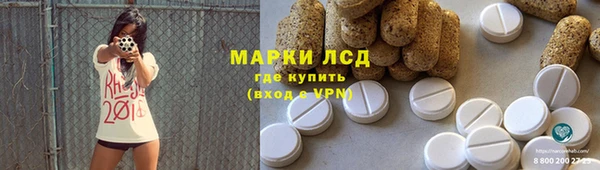 сатива Верея