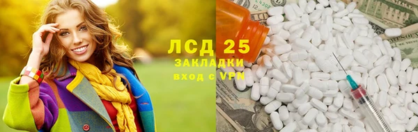 сатива Верея