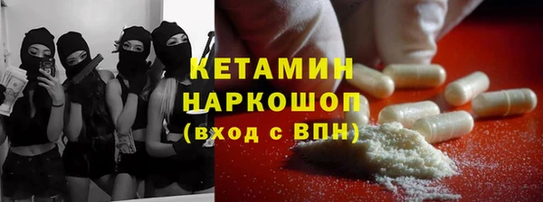 сатива Верея