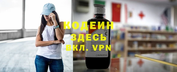 сатива Верея