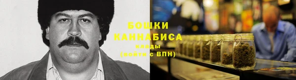 сатива Верея
