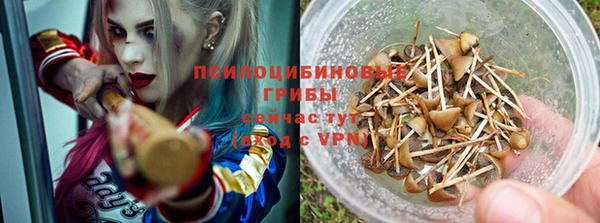 mdpv Верхний Тагил