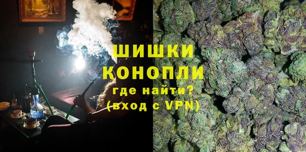 сатива Верея